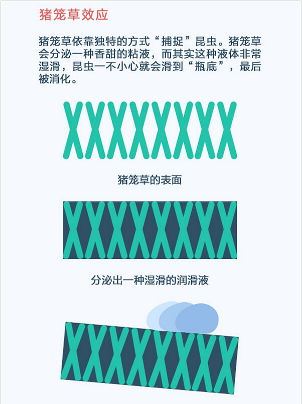 表面超疏水疏油現象