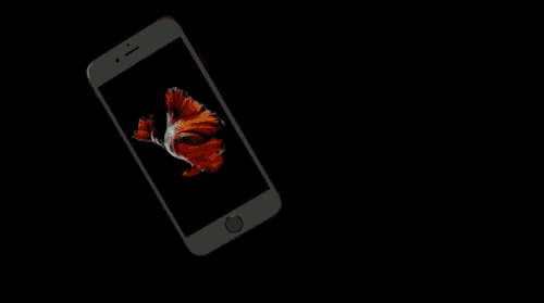 20171207162208379.gif 2.gif