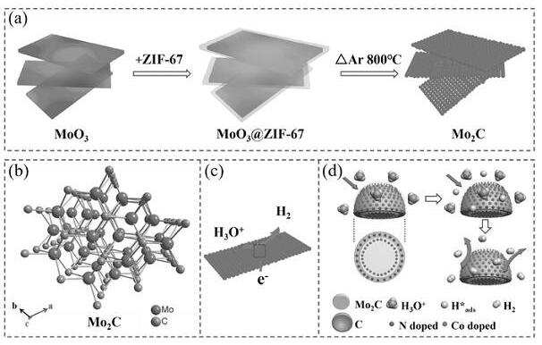 1D或2D多孔Mo2C納米結(jié)構的合成與產(chǎn)氫應用