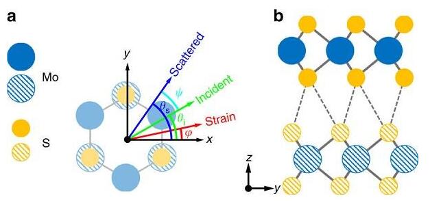 雙層MoS2的應(yīng)變-剪切耦合 雙層MoS2的應(yīng)變-剪切耦合