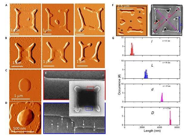 超薄Si膜的復(fù)雜去潤濕花樣用于構(gòu)筑大規(guī)模納米結(jié)構(gòu) 超薄Si膜的復(fù)雜去潤濕花樣用于構(gòu)筑大規(guī)模納米結(jié)構(gòu)