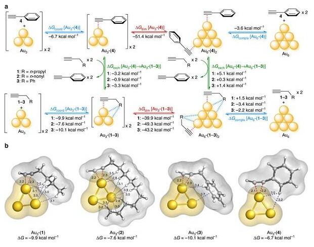 金底物相互作用在催化金亞納米團簇中的關(guān)鍵作用 金底物相互作用在催化金亞納米團簇中的關(guān)鍵作用