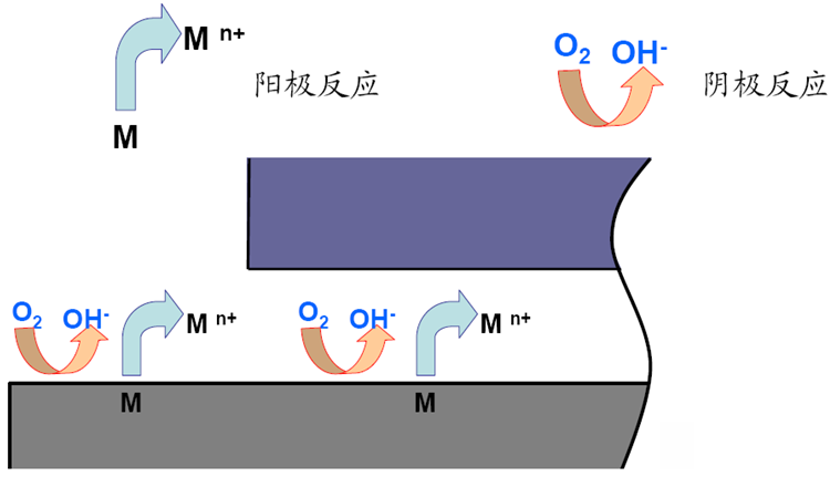 陽極和陰極反應(yīng) 陽極和陰極反應(yīng)