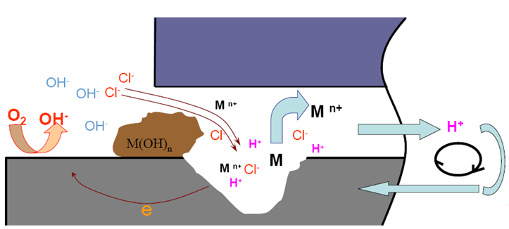 形成閉塞電池內(nèi)的自催化溶解過程 形成閉塞電池內(nèi)的自催化溶解過程