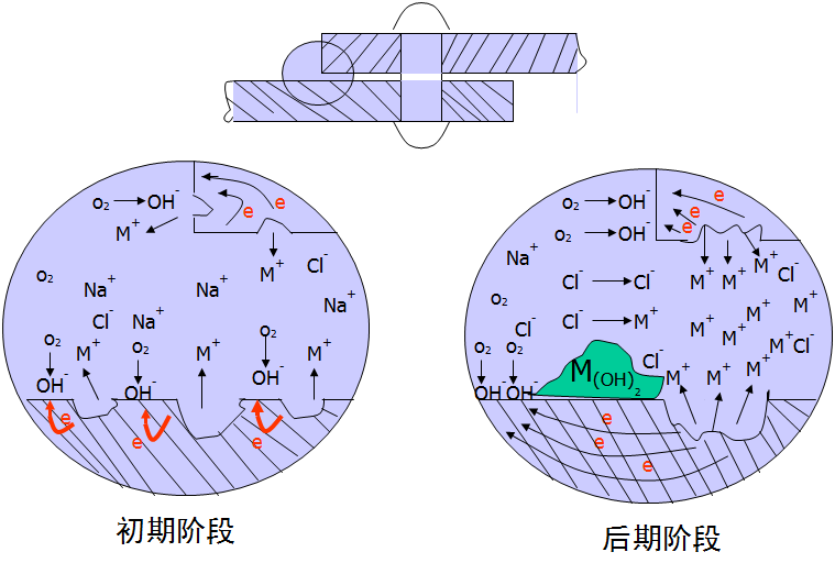 形成閉塞電池內(nèi)的自催化溶解過程 形成閉塞電池內(nèi)的自催化溶解過程