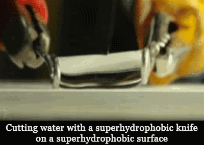 20180323111725535.jpg 3.jpg