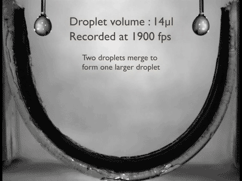 20180323111819230.jpg 4.jpg